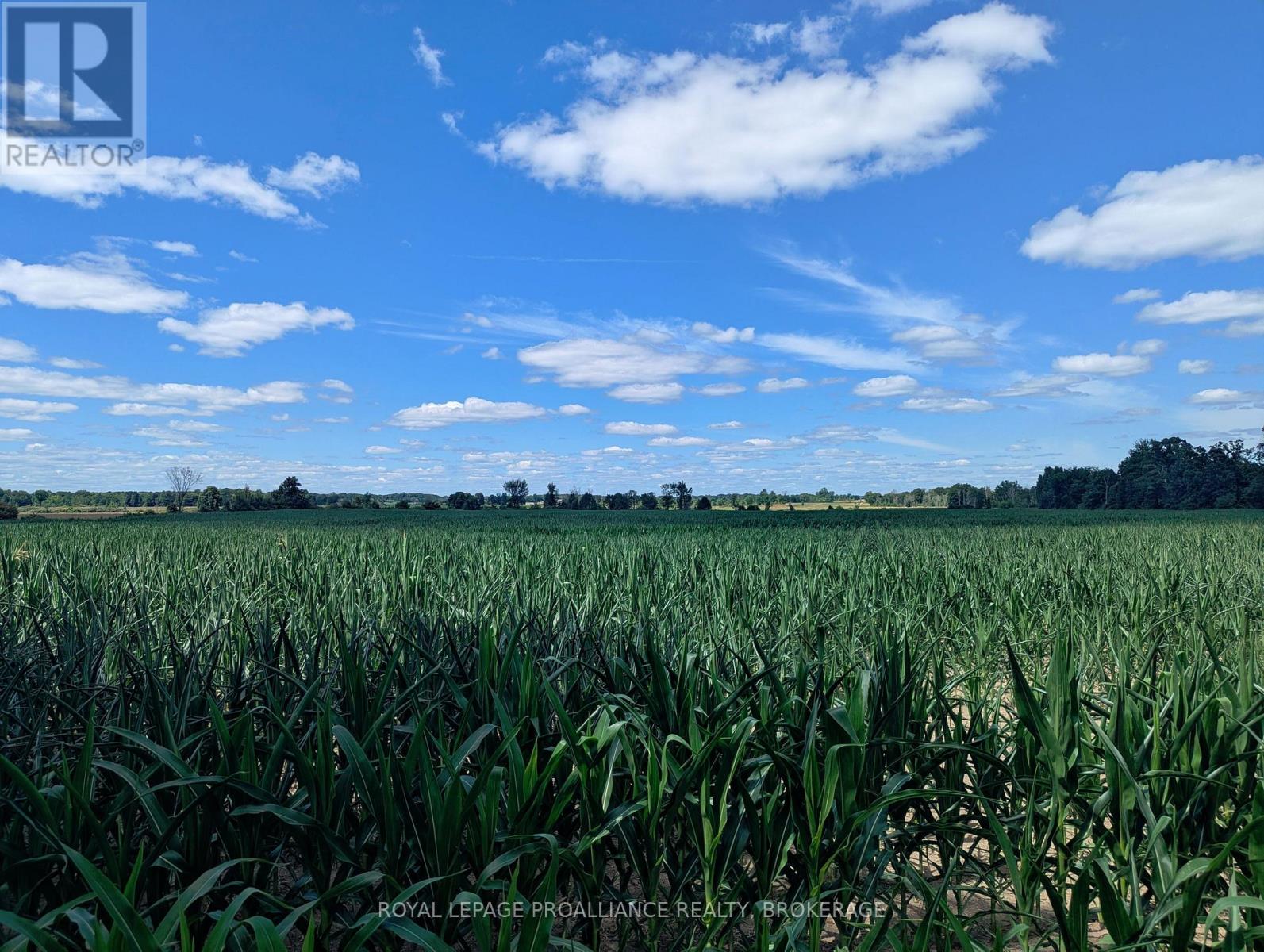 2620 4th Concession Road, Kingston, Ontario  K0H 1Y0 - Photo 2 - X12303276