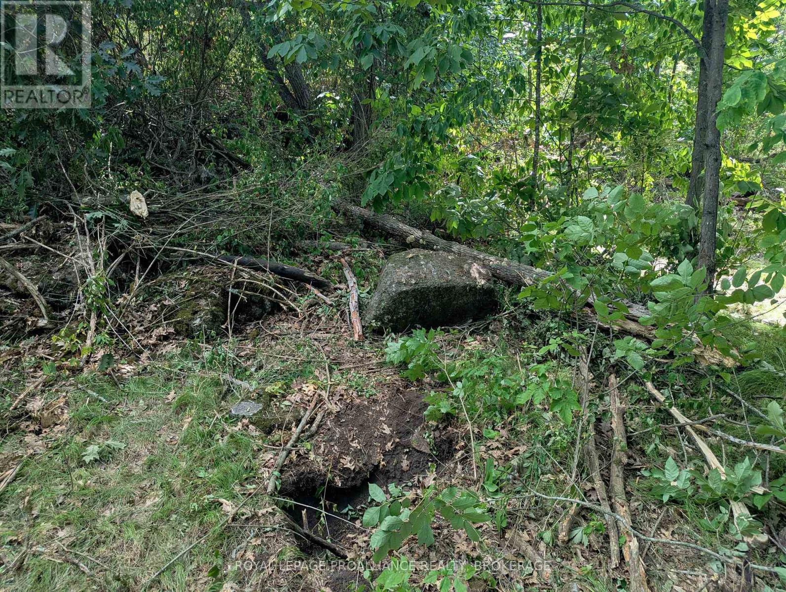 2620 4th Concession Road, Kingston, Ontario  K0H 1Y0 - Photo 7 - X12303276