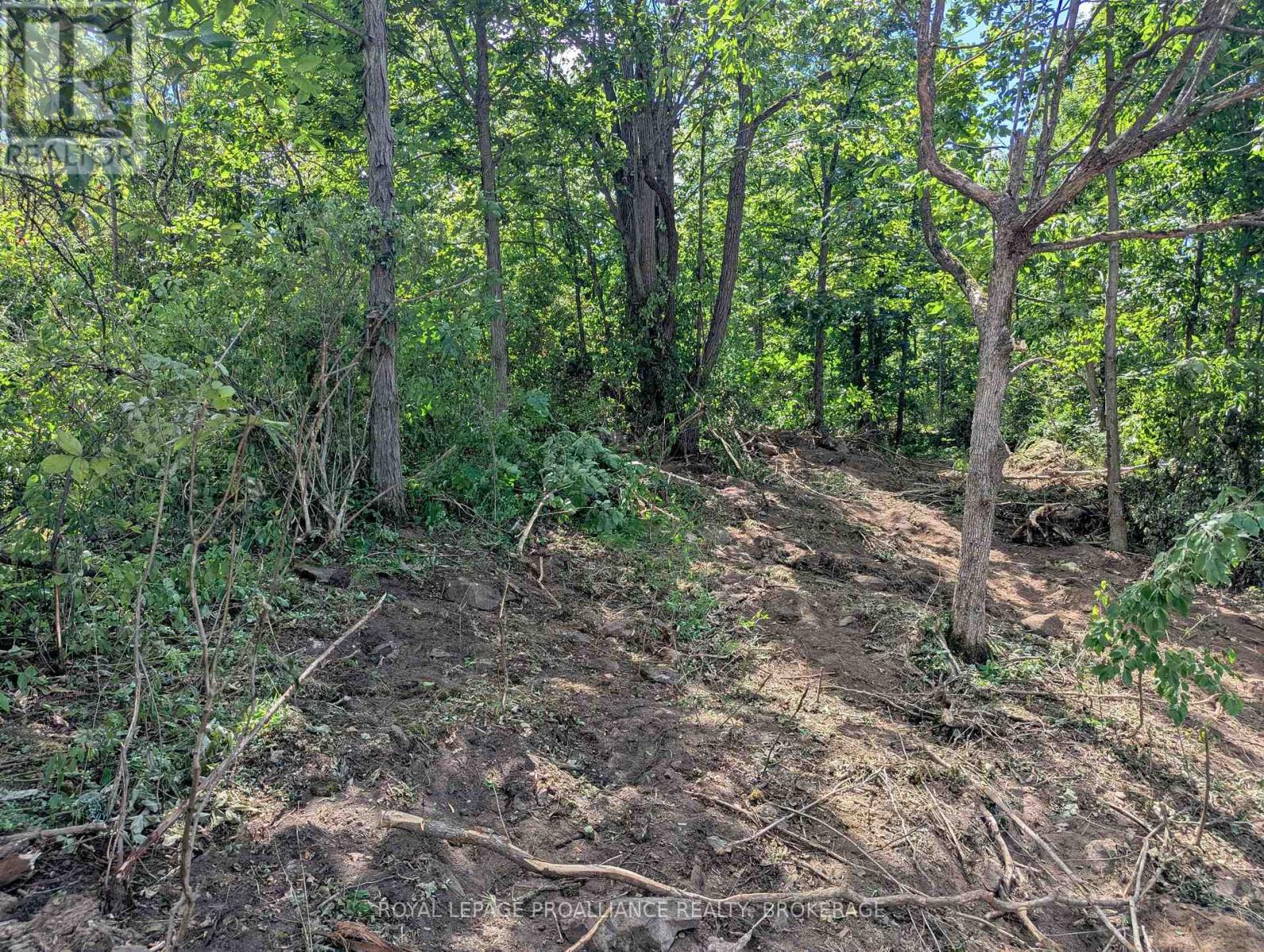 2620 4th Concession Road, Kingston, Ontario  K0H 1Y0 - Photo 12 - X12303276