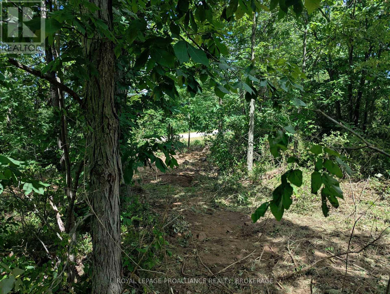 2620 4th Concession Road, Kingston, Ontario  K0H 1Y0 - Photo 9 - X12303276