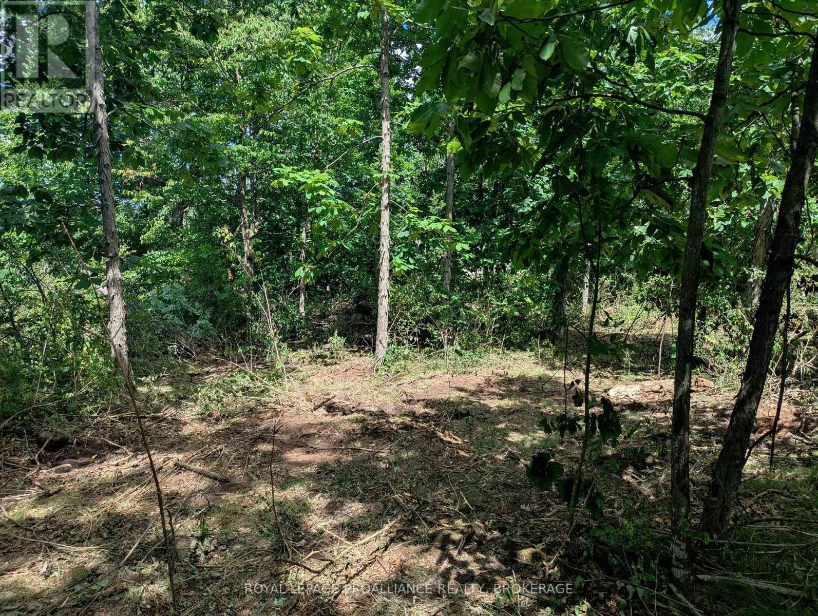 2620 4th Concession Road, Kingston, Ontario  K0H 1Y0 - Photo 8 - X12303276