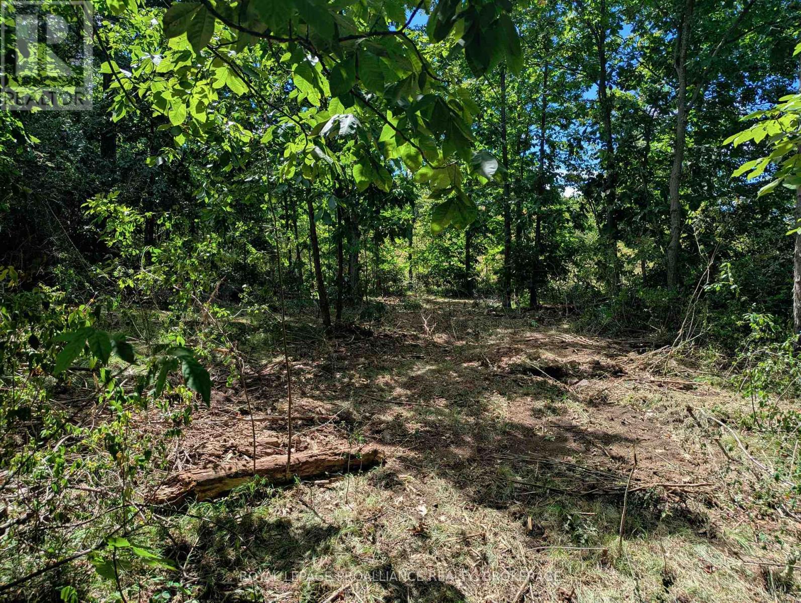 2620 4th Concession Road, Kingston, Ontario  K0H 1Y0 - Photo 11 - X12303276