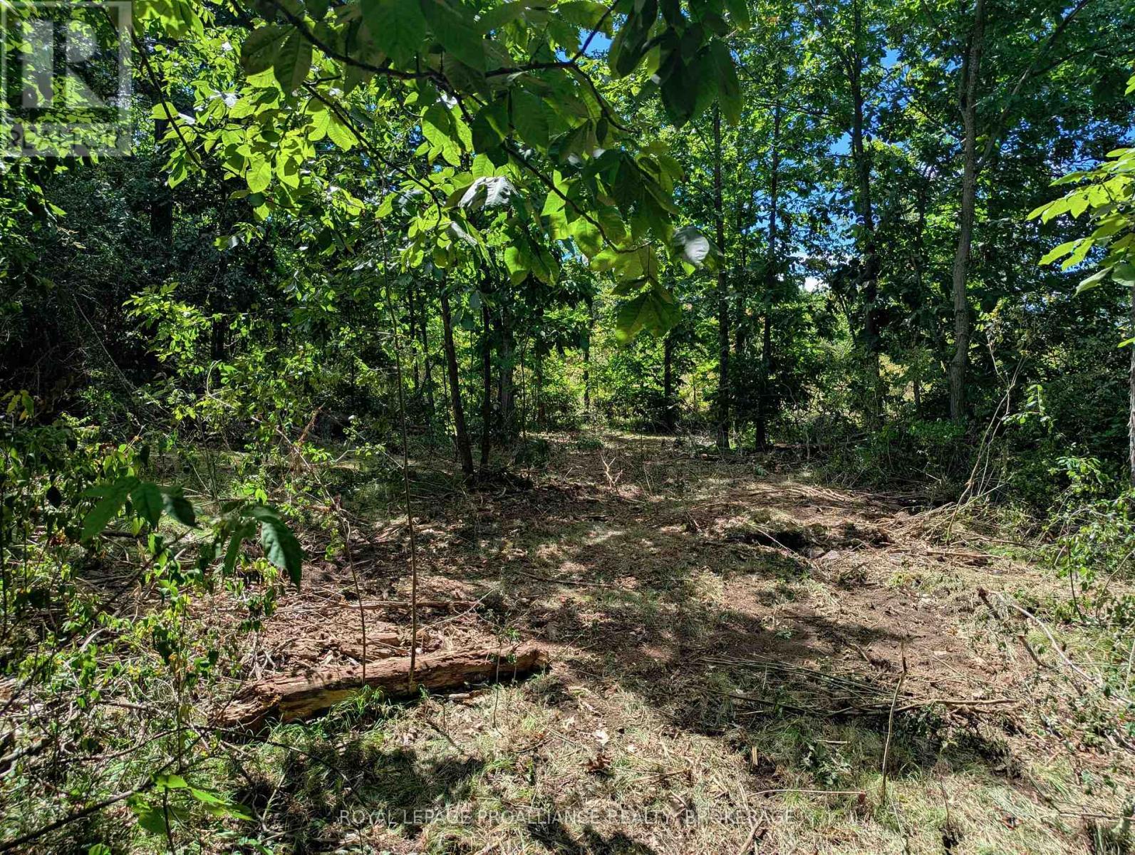 2620 4th Concession Road, Kingston, Ontario  K0H 1Y0 - Photo 10 - X12303276