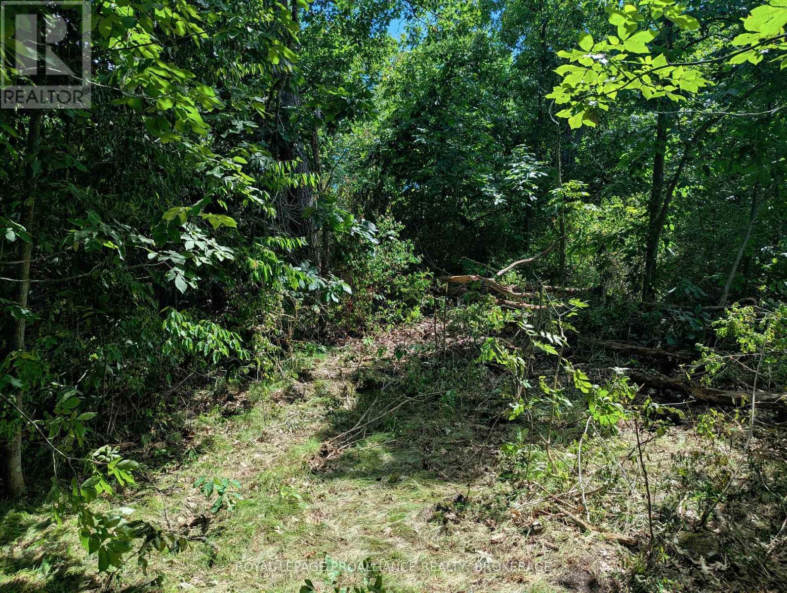 2620 4th Concession Road, Kingston, Ontario  K0H 1Y0 - Photo 3 - X12303276