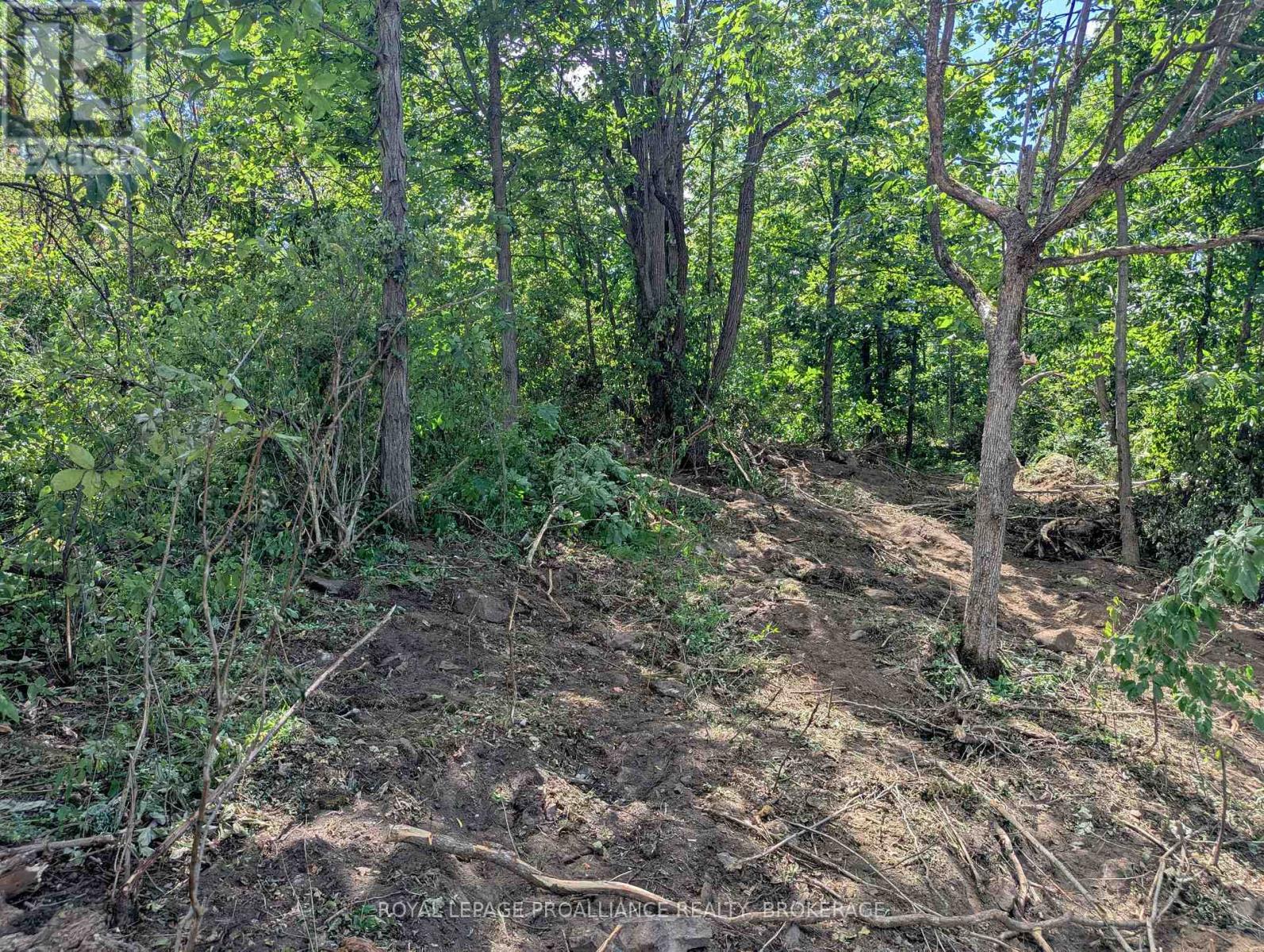 2620 4th Concession Road, Kingston, Ontario  K0H 1Y0 - Photo 13 - X12303276