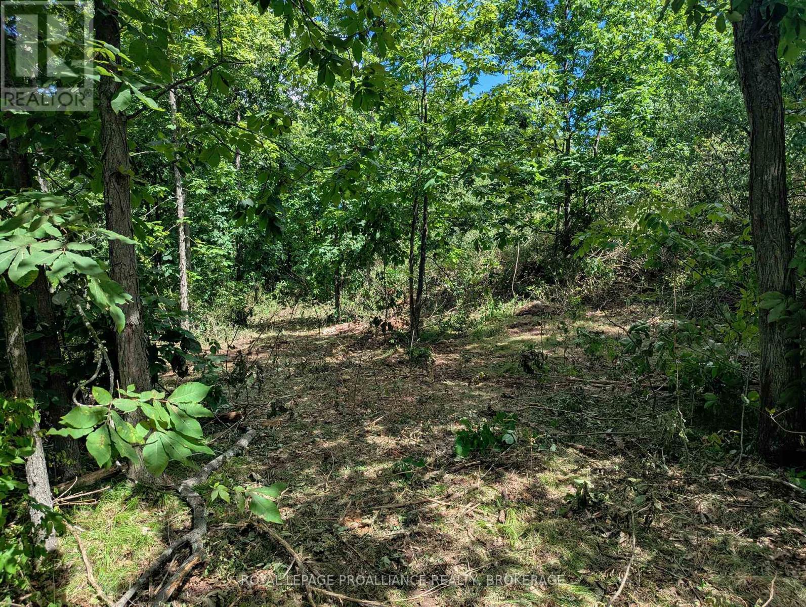 2620 4th Concession Road, Kingston, Ontario  K0H 1Y0 - Photo 5 - X12303276