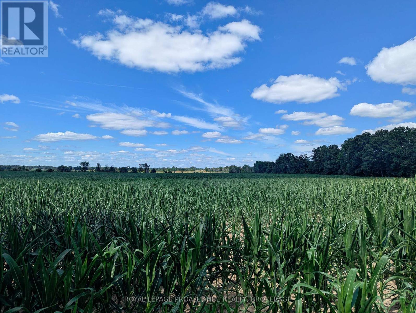 2620 4th Concession Road, Kingston, Ontario  K0H 1Y0 - Photo 1 - X12303276