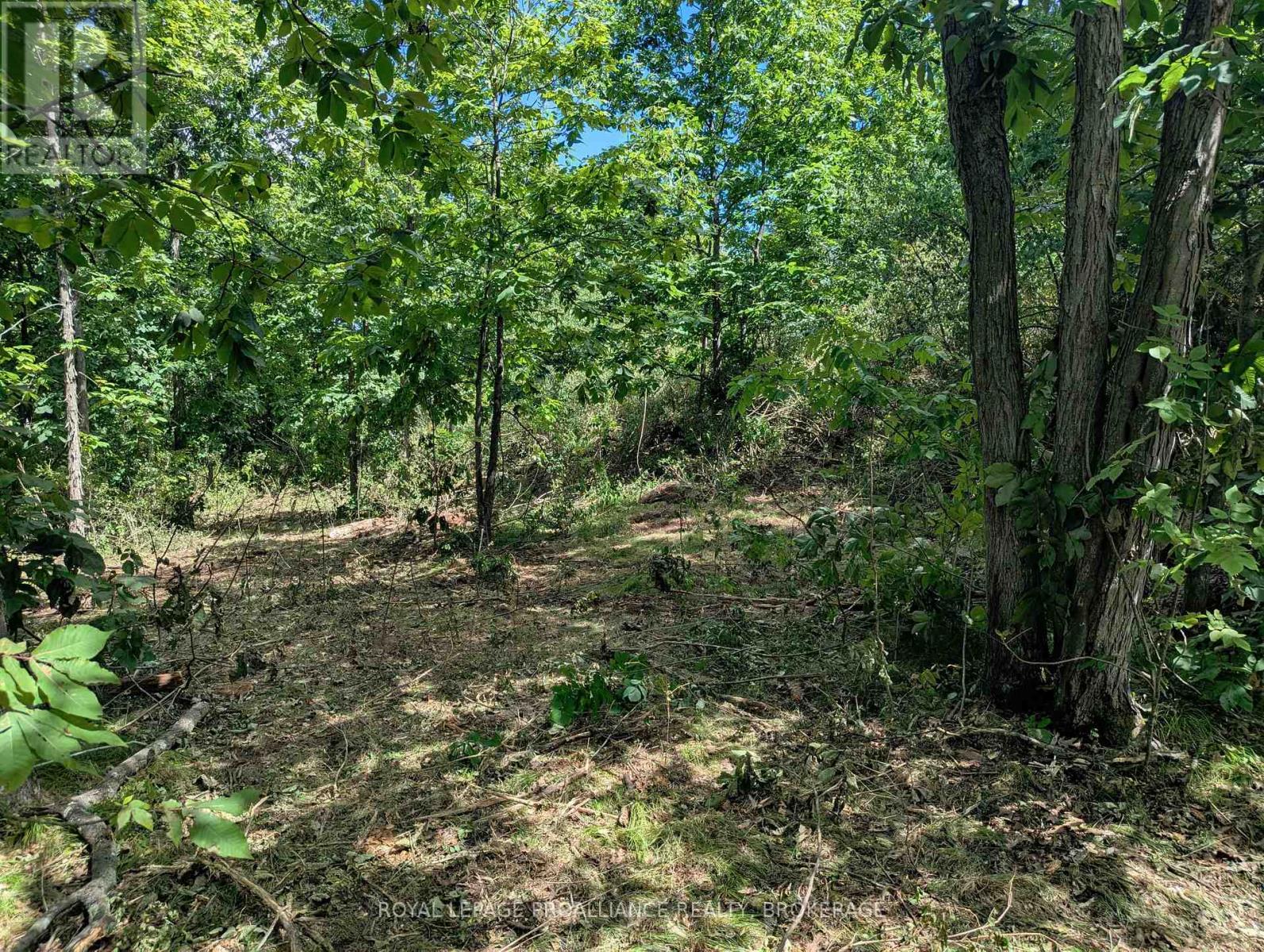 2620 4th Concession Road, Kingston, Ontario  K0H 1Y0 - Photo 4 - X12303276