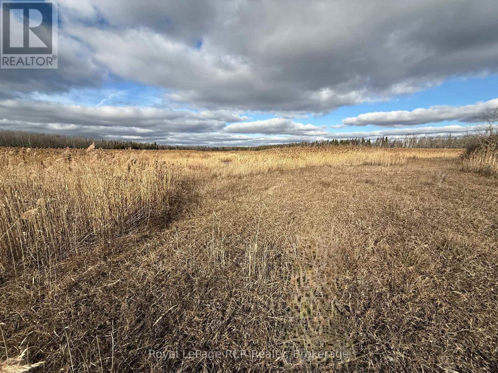 086386 Southgate Road 8, Southgate, Ontario  N0C 1B0 - Photo 10 - X12578748