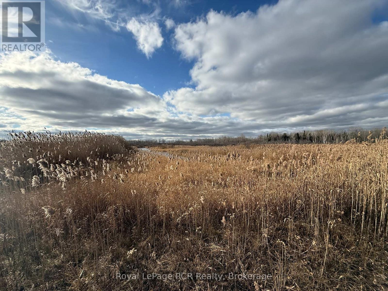 086386 Southgate Road 8, Southgate, Ontario  N0C 1B0 - Photo 11 - X12578748