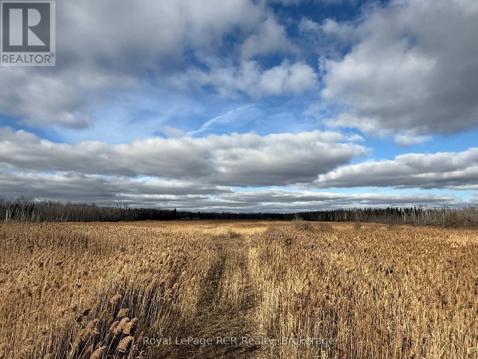 086386 Southgate Road 8, Southgate, Ontario  N0C 1B0 - Photo 15 - X12578748