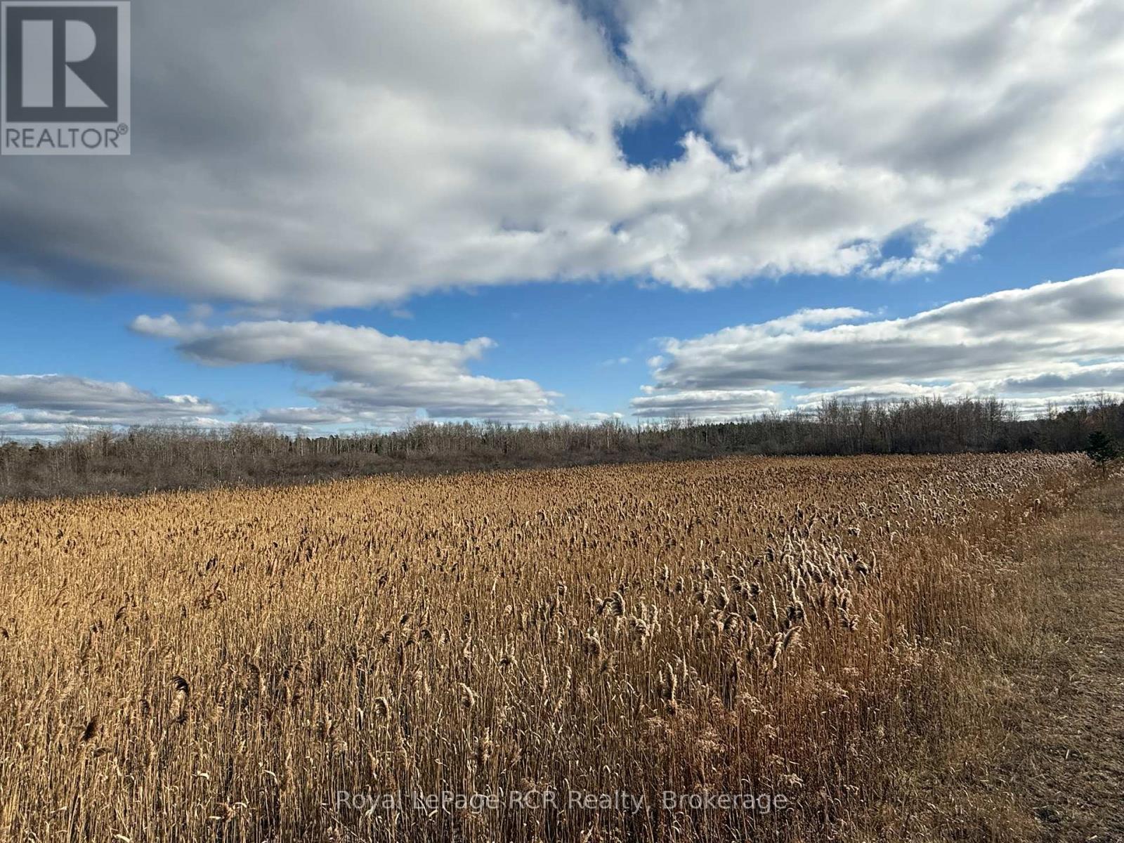 086386 Southgate Road 8, Southgate, Ontario  N0C 1B0 - Photo 16 - X12578748