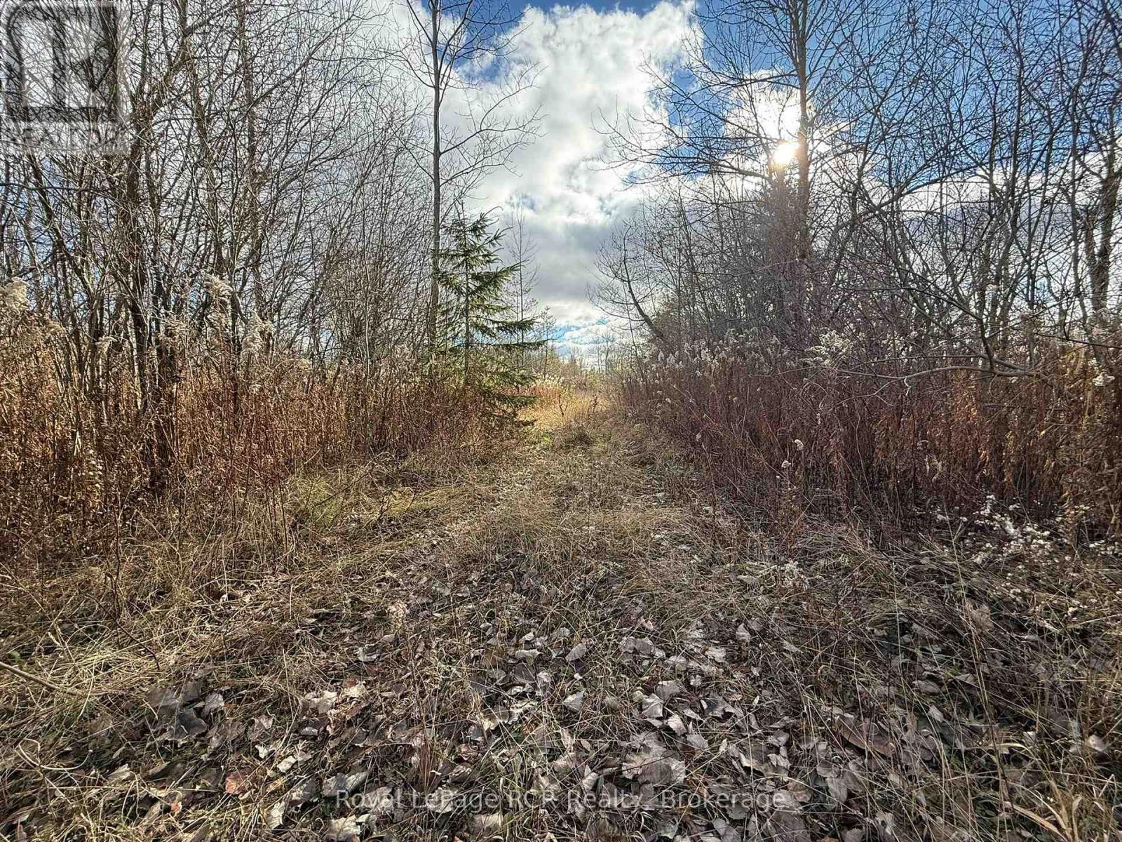 086386 Southgate Road 8, Southgate, Ontario  N0C 1B0 - Photo 6 - X12578748