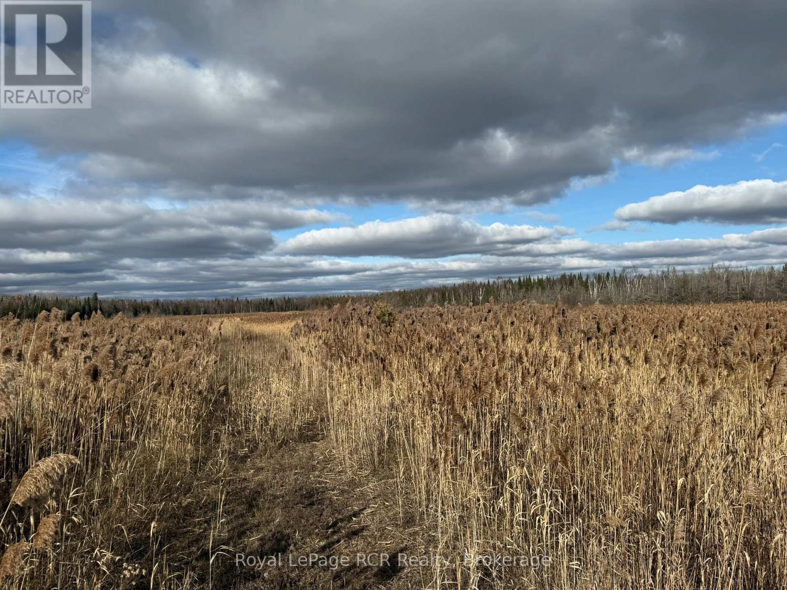 086386 Southgate Road 8, Southgate, Ontario  N0C 1B0 - Photo 8 - X12578748