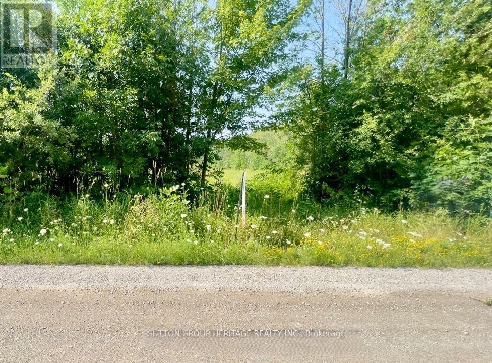 Pt Lt 7 Conc 9, Brock, Ontario  L0K 1A0 - Photo 3 - N12469695