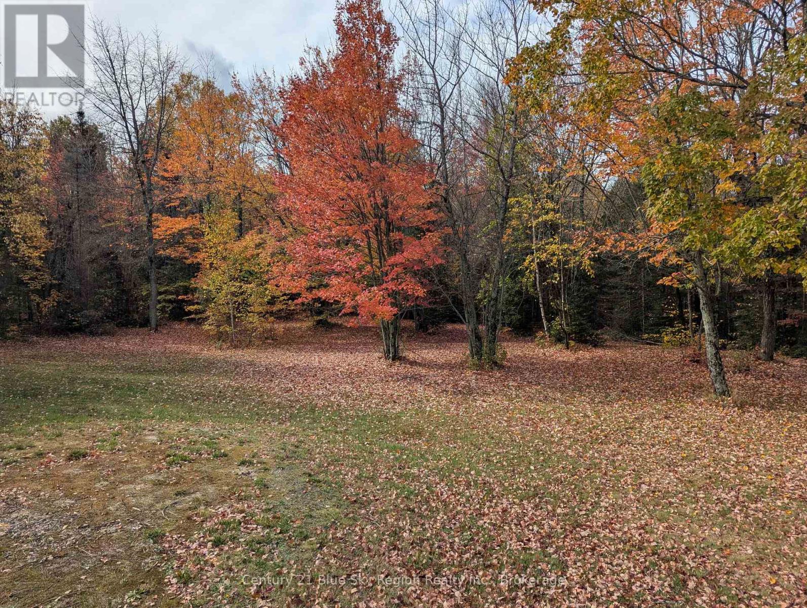 45 Chadbourne Drive, North Bay, Ontario  P1B 8G2 - Photo 47 - X12578910