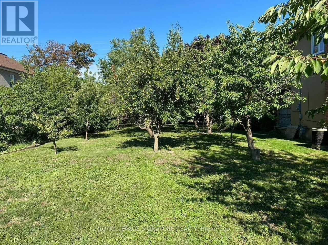 10090 Keele Street, Vaughan, Ontario  L6A 1G3 - Photo 17 - N12578834