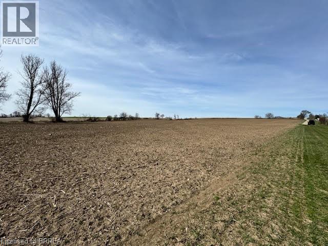 Pt Lot 2 Peavinery Road, Burford, Ontario  N0E 1L0 - Photo 9 - 40790457