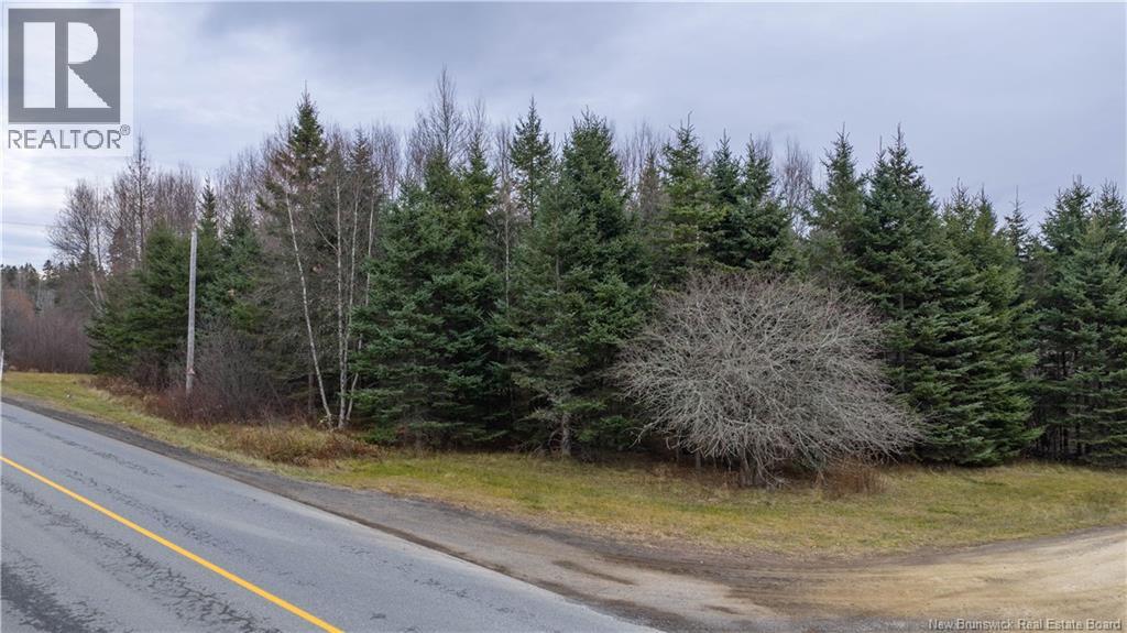 Lot 2019-1 Route 121, Bloomfield, New Brunswick  E5N 4V2 - Photo 16 - NB130392