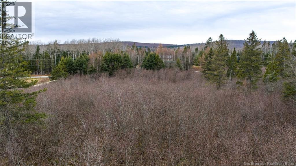 Lot 2019-1 Route 121, Bloomfield, New Brunswick  E5N 4V2 - Photo 14 - NB130392