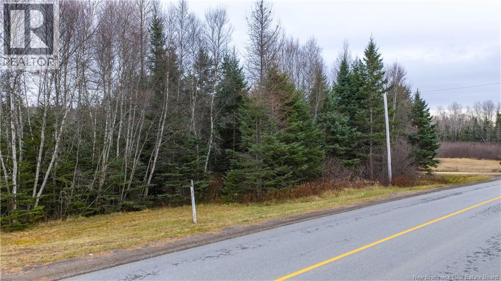 Lot 2019-1 Route 121, Bloomfield, New Brunswick  E5N 4V2 - Photo 15 - NB130392