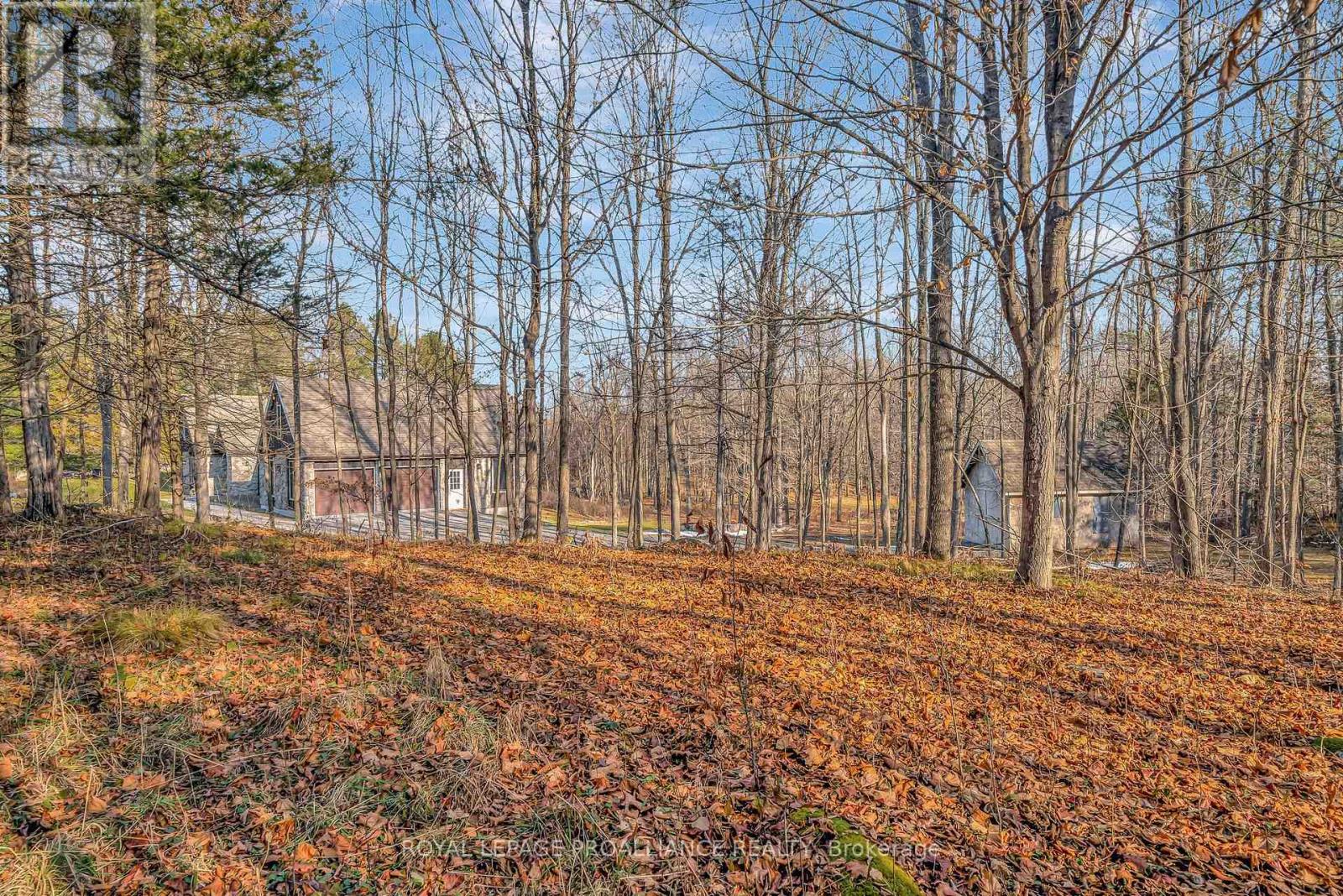 510 Moneymore Road, Tweed, Ontario K0K 2Y0 - Photo 44 - X12578980