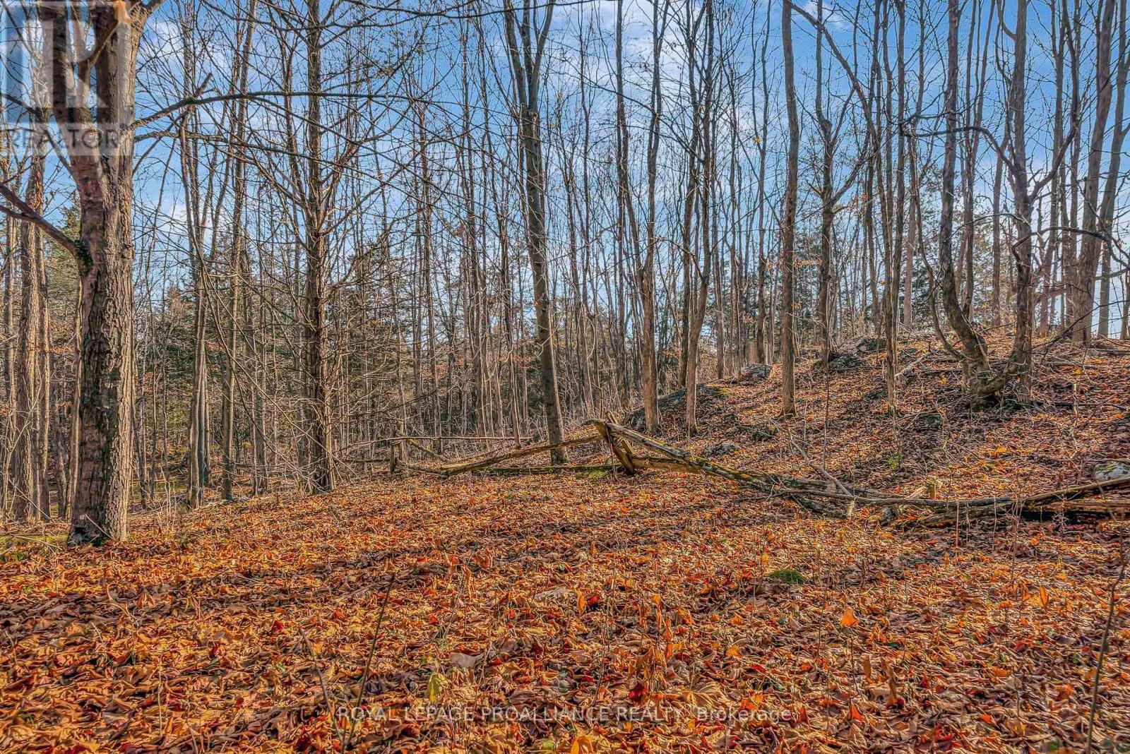 510 Moneymore Road, Tweed, Ontario K0K 2Y0 - Photo 45 - X12578980