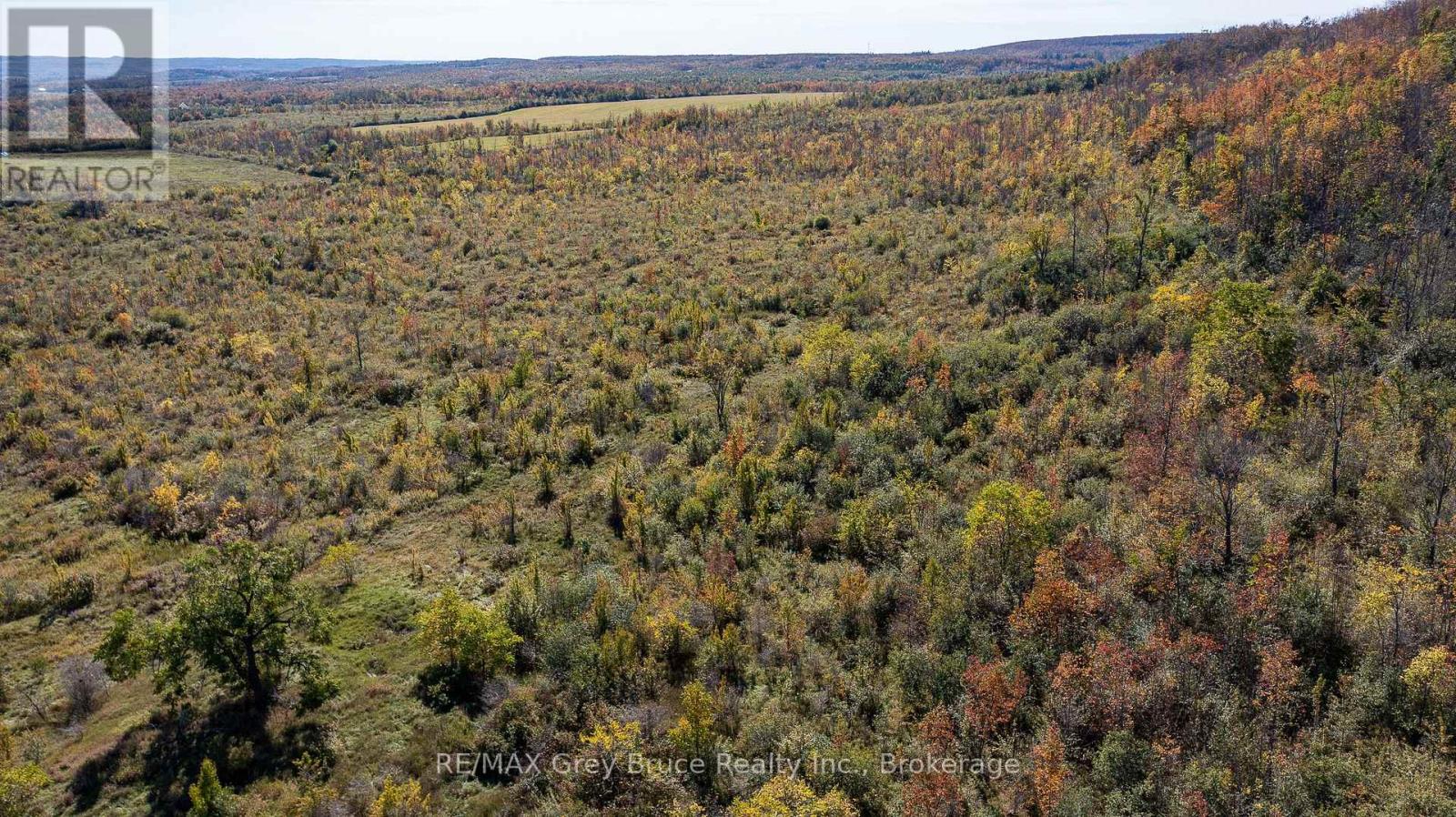 138558 Grey Road 112 N, Meaford, Ontario  N4L 1W5 - Photo 32 - X12579064