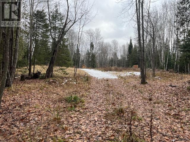 24 Settlers Road, Nipissing, Ontario  P0H 1W0 - Photo 17 - X12559610