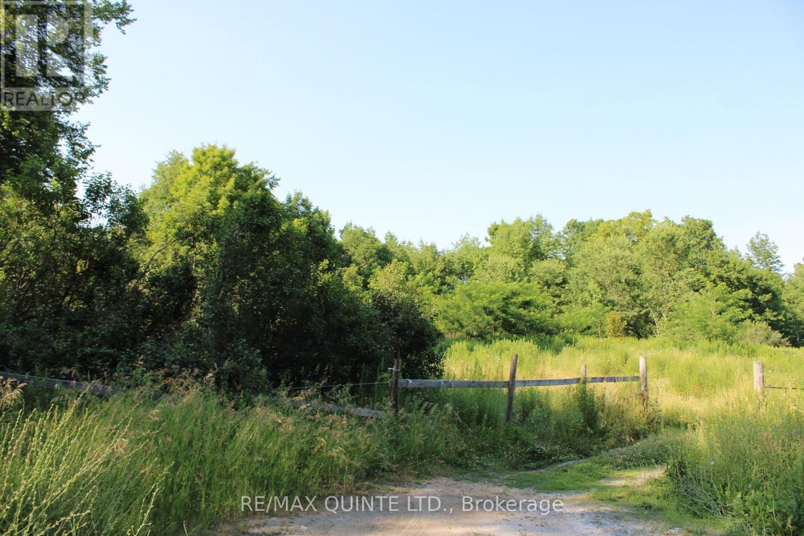 494 Twin Sister Lakes Road, Marmora And Lake, Ontario  K0K 2M0 - Photo 5 - X12428503