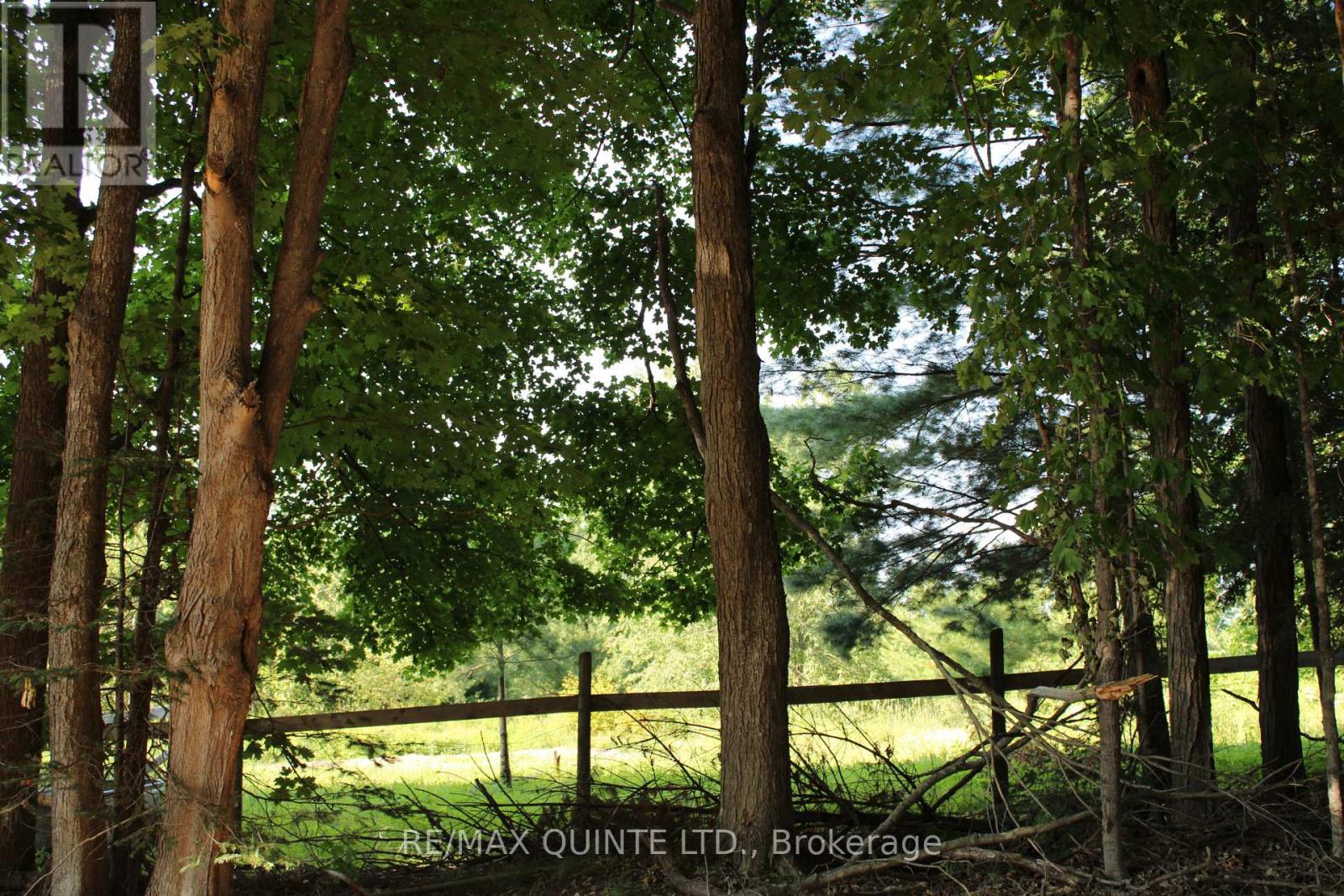 494 Twin Sister Lakes Road, Marmora And Lake, Ontario  K0K 2M0 - Photo 4 - X12428503