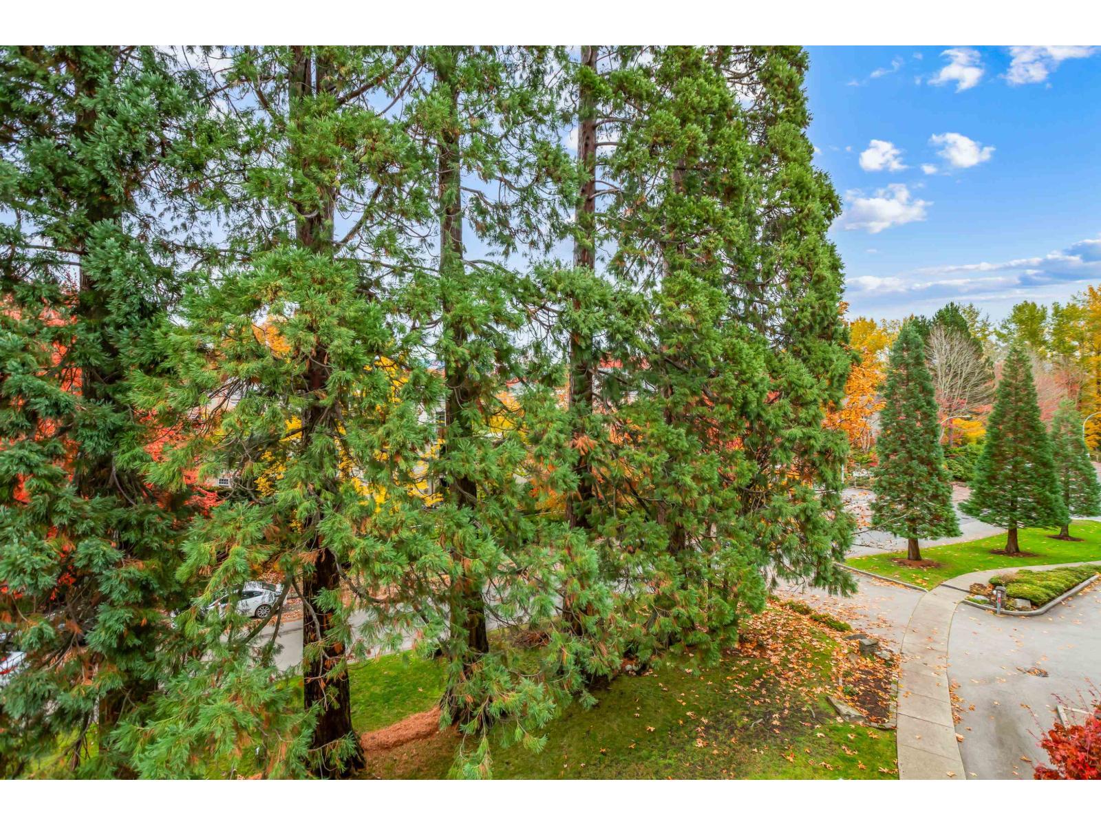 403 16068 83 Avenue, Surrey, British Columbia  V4N 0N2 - Photo 19 - R3065308