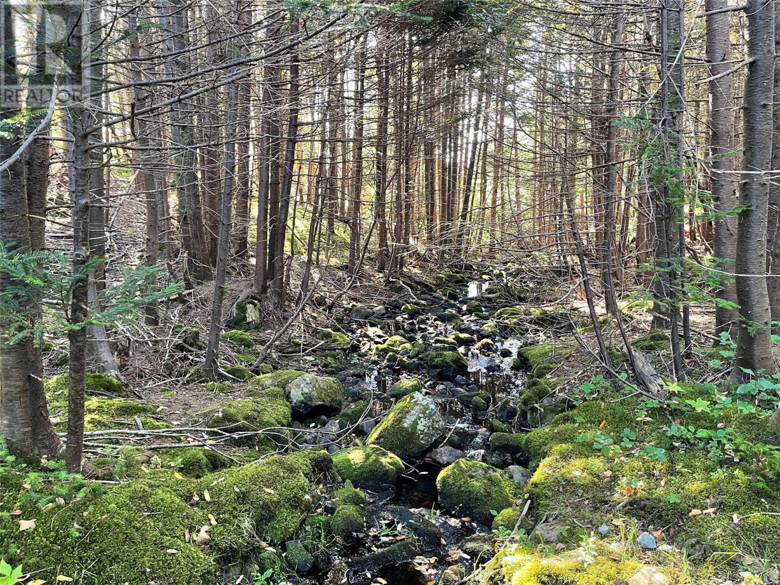 1 Wades Farm Road, Flatrock, Newfoundland & Labrador  A1K 1C6 - Photo 6 - 1292829