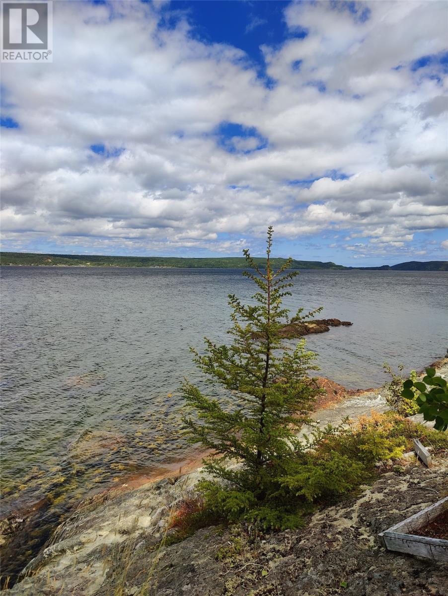 69 Main Street S, Glovertown, Newfoundland & Labrador  A0G 2L0 - Photo 4 - 1292935