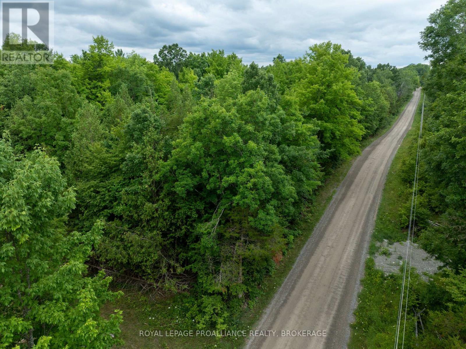 Pt Lt 14 Henderson Road, Greater Napanee, Ontario K0K 2L0 - Photo 1 - X12579490