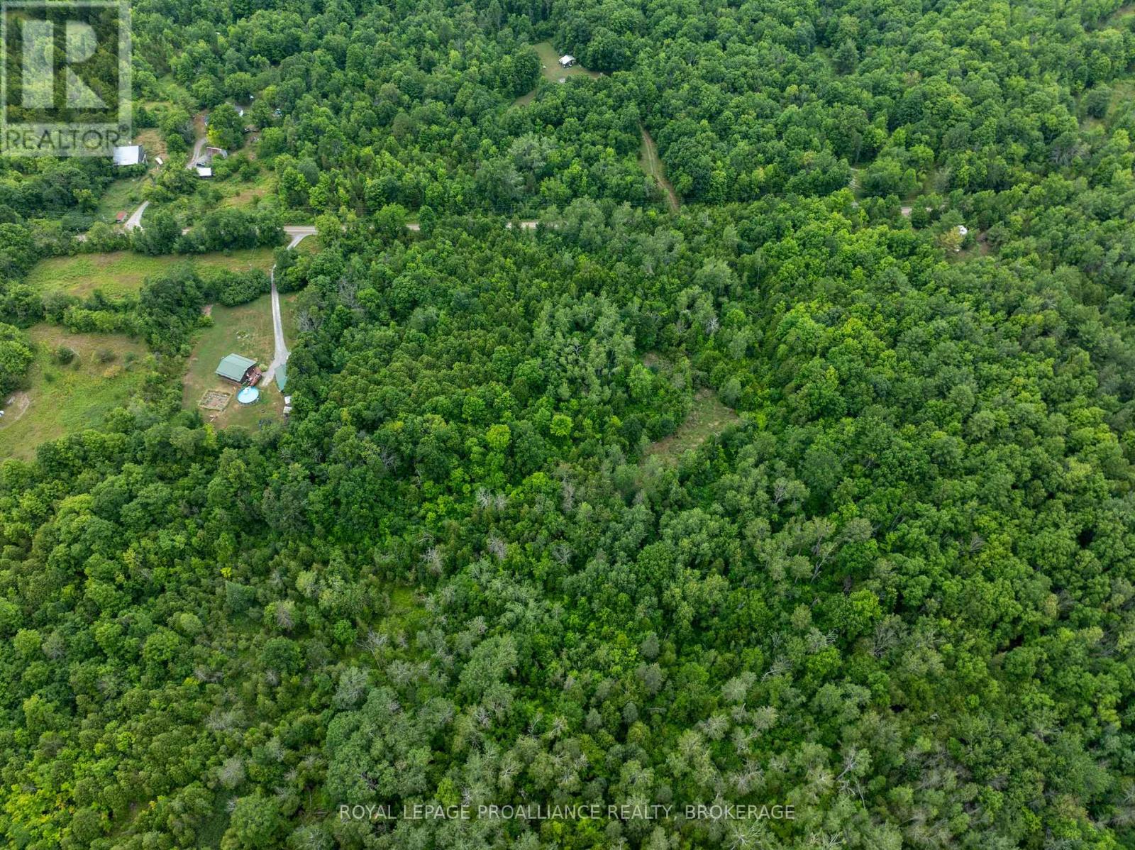 Pt Lt 14 Henderson Road, Greater Napanee, Ontario K0K 2L0 - Photo 12 - X12579490