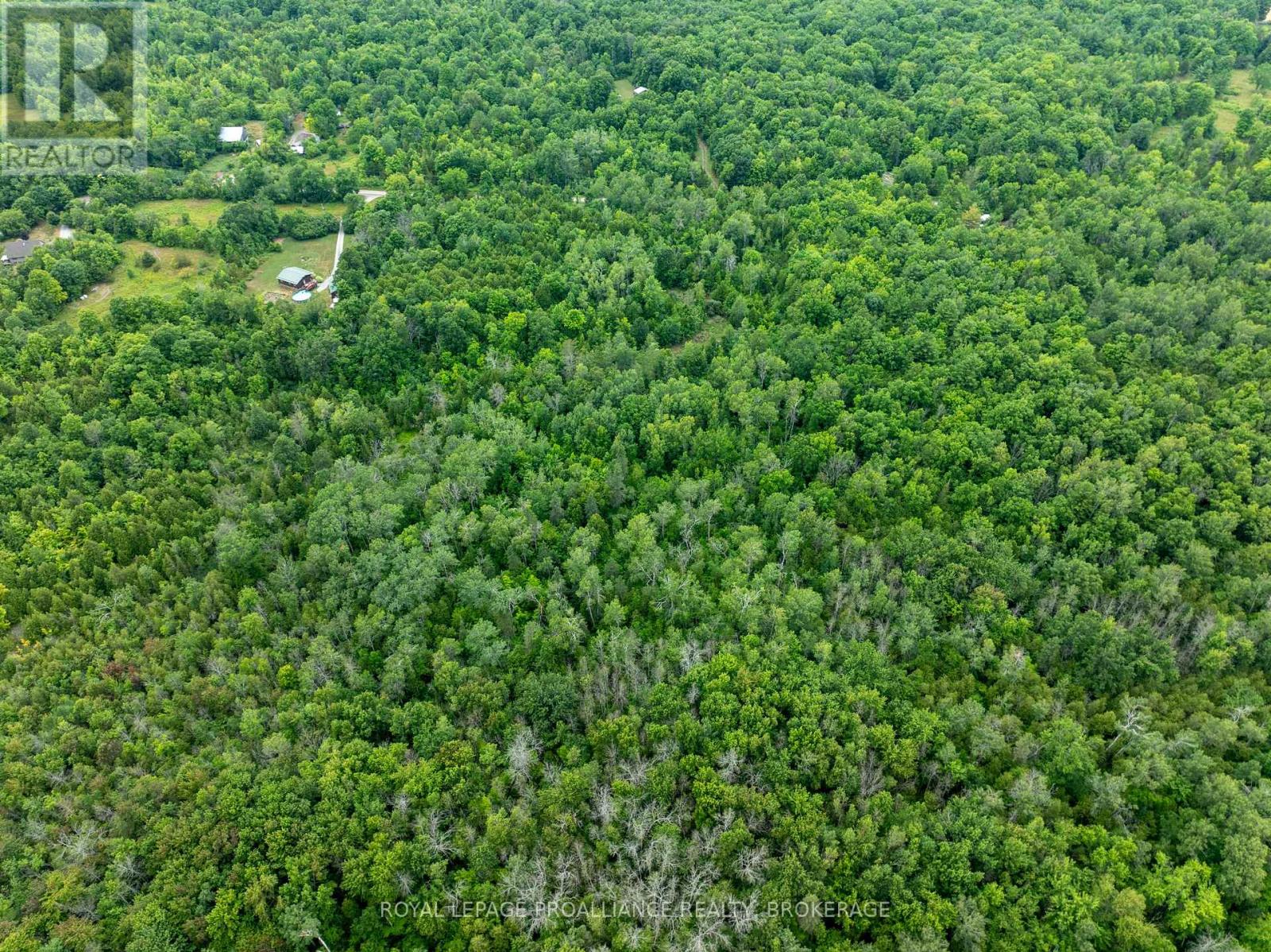 Pt Lt 14 Henderson Road, Greater Napanee, Ontario K0K 2L0 - Photo 15 - X12579490