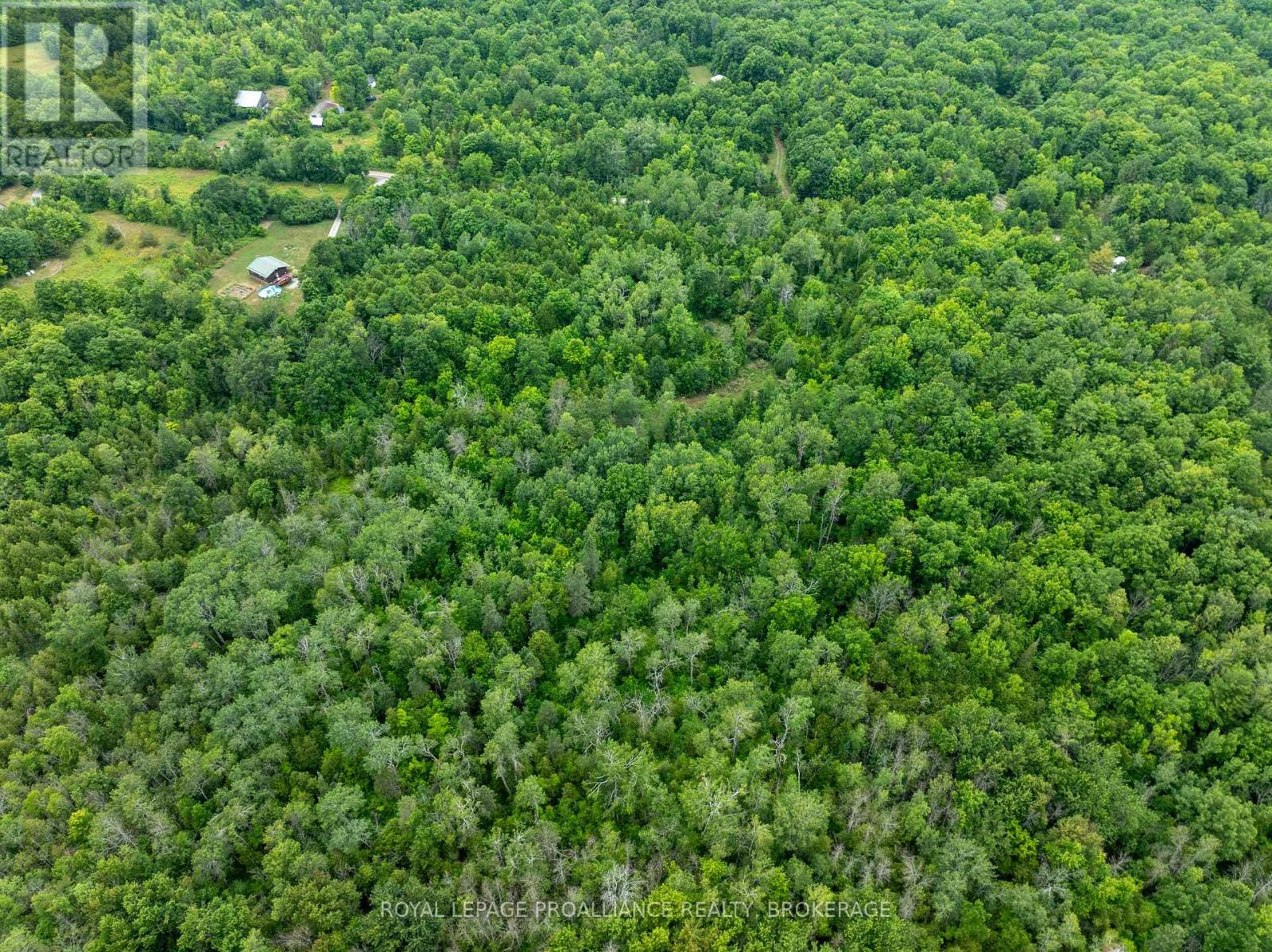 Pt Lt 14 Henderson Road, Greater Napanee, Ontario K0K 2L0 - Photo 16 - X12579490