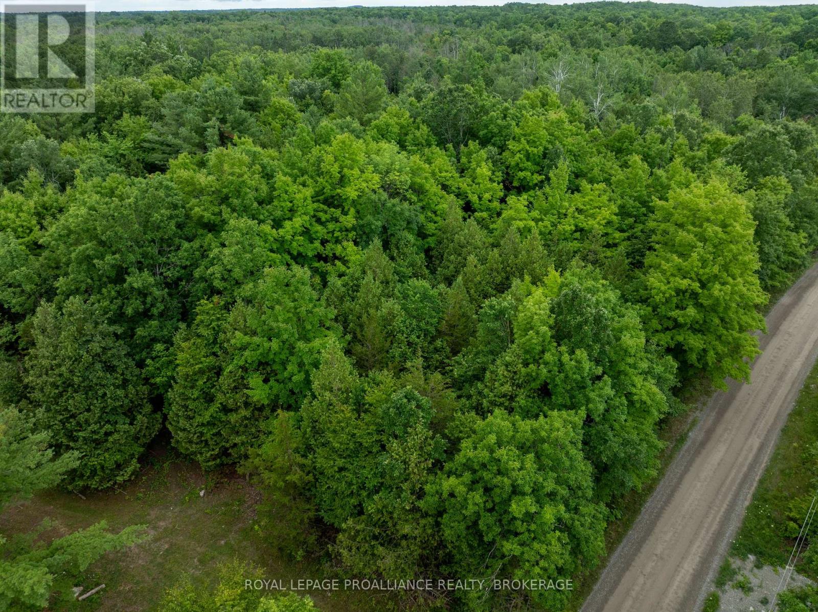 Pt Lt 14 Henderson Road, Greater Napanee, Ontario K0K 2L0 - Photo 2 - X12579490