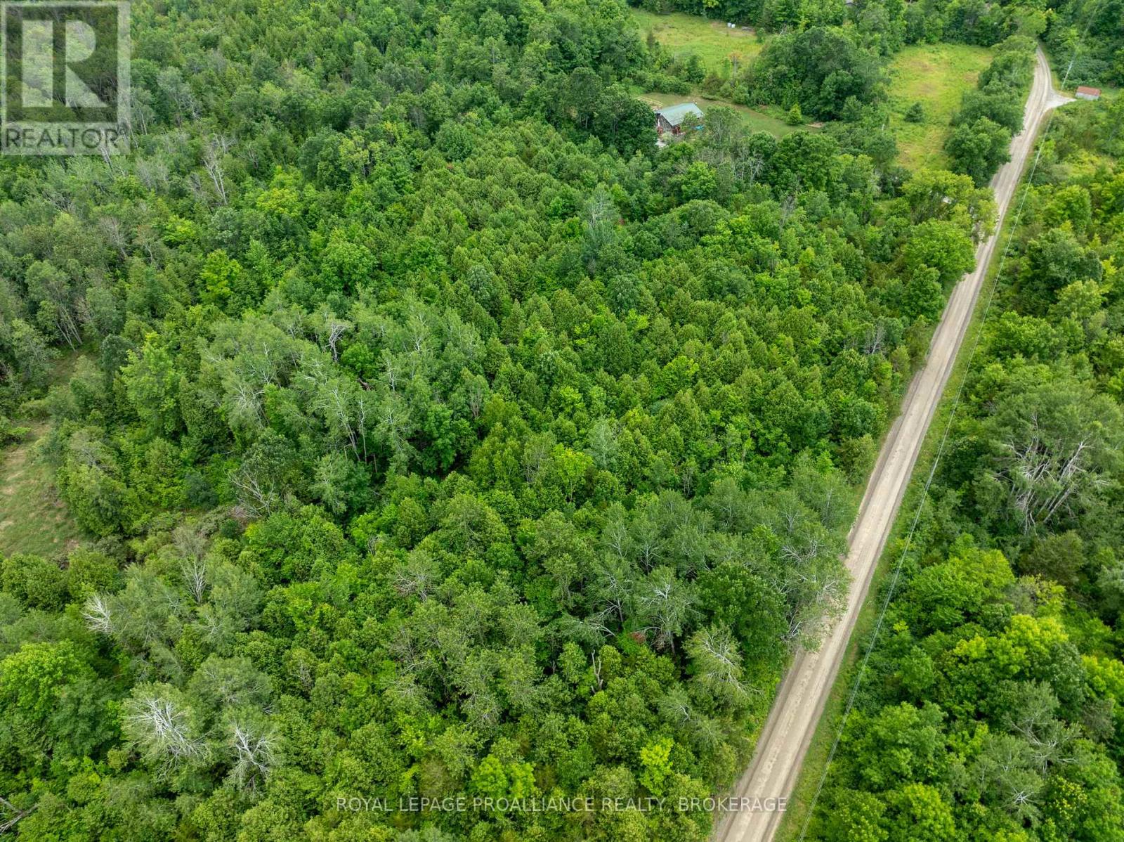 Pt Lt 14 Henderson Road, Greater Napanee, Ontario K0K 2L0 - Photo 21 - X12579490