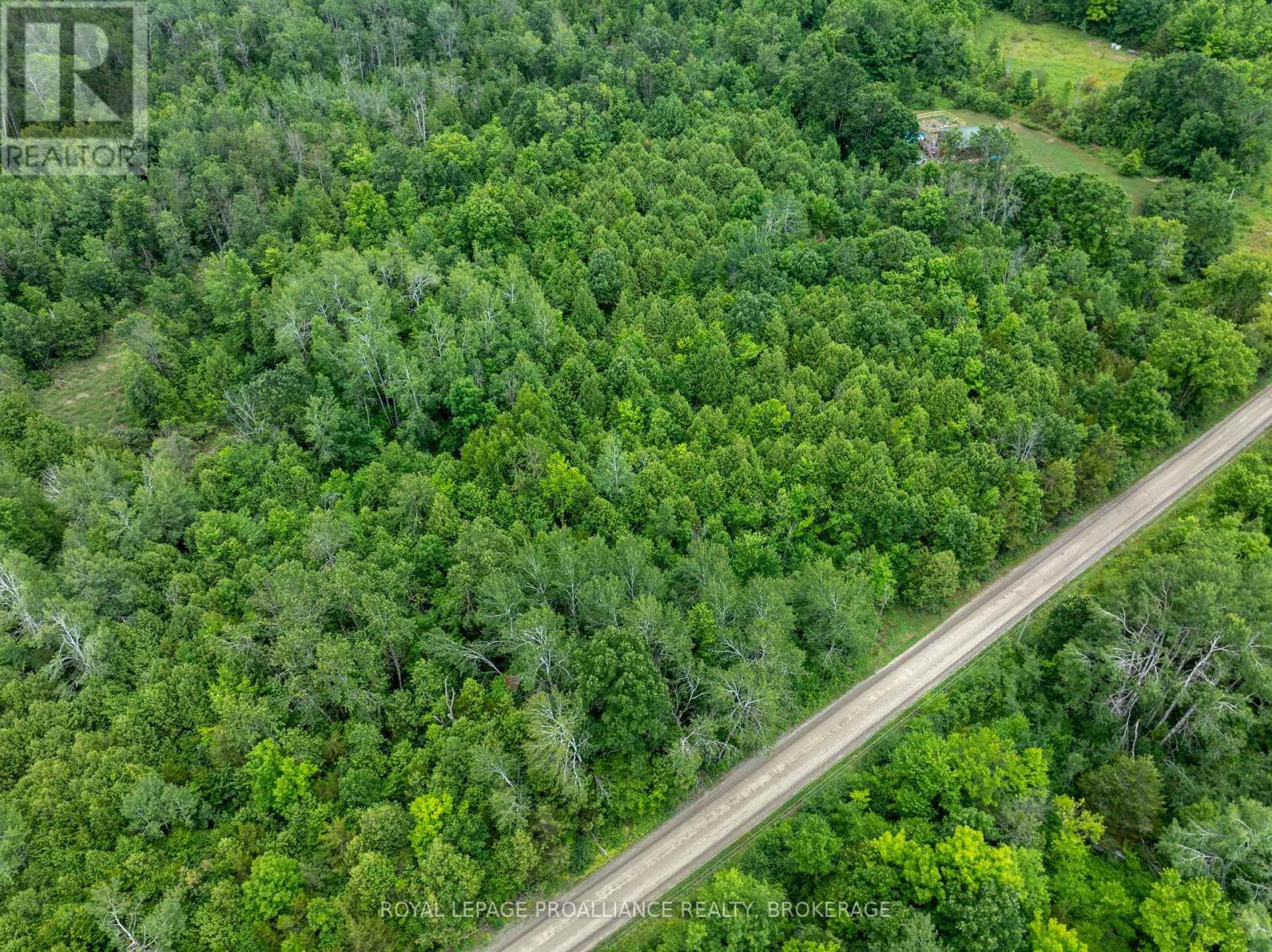 Pt Lt 14 Henderson Road, Greater Napanee, Ontario K0K 2L0 - Photo 22 - X12579490