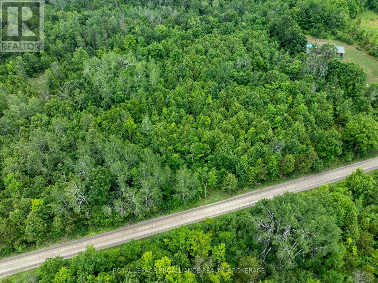 Pt Lt 14 Henderson Road, Greater Napanee, Ontario K0K 2L0 - Photo 23 - X12579490