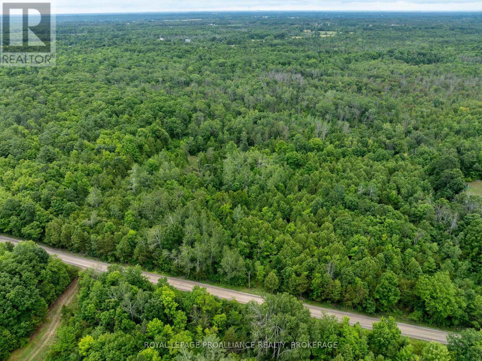 Pt Lt 14 Henderson Road, Greater Napanee, Ontario K0K 2L0 - Photo 27 - X12579490