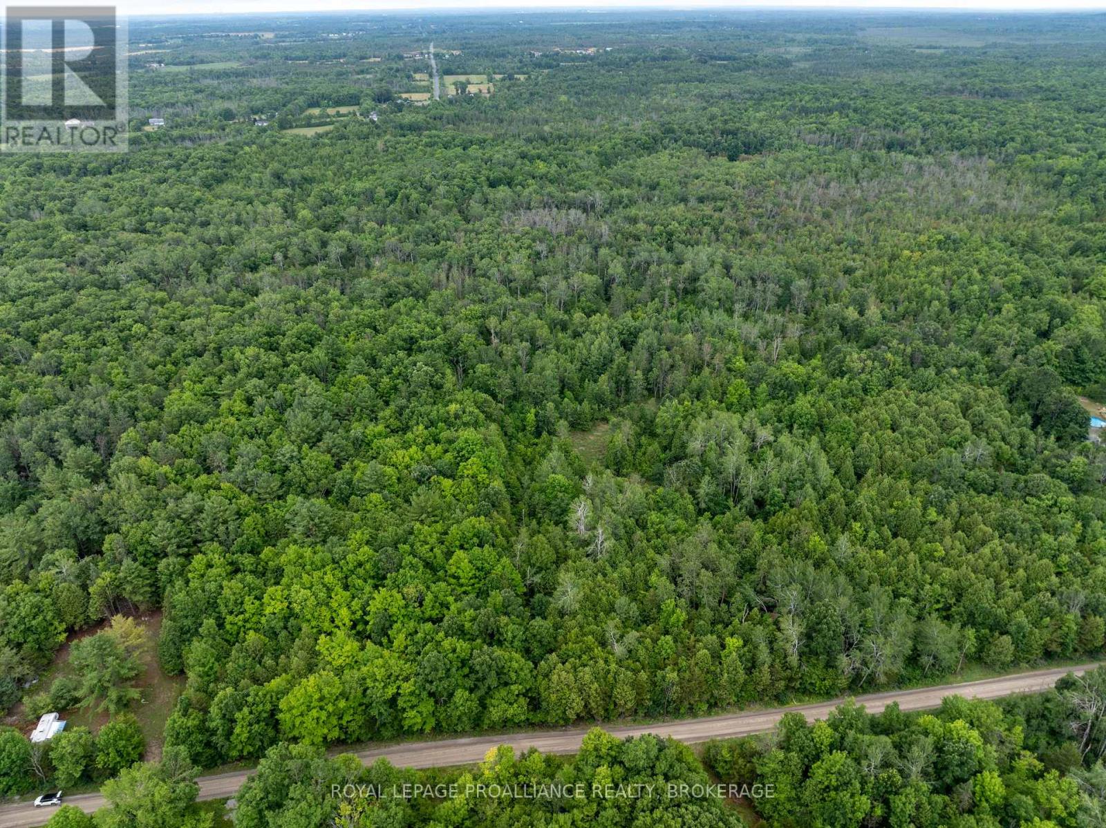 Pt Lt 14 Henderson Road, Greater Napanee, Ontario K0K 2L0 - Photo 3 - X12579490