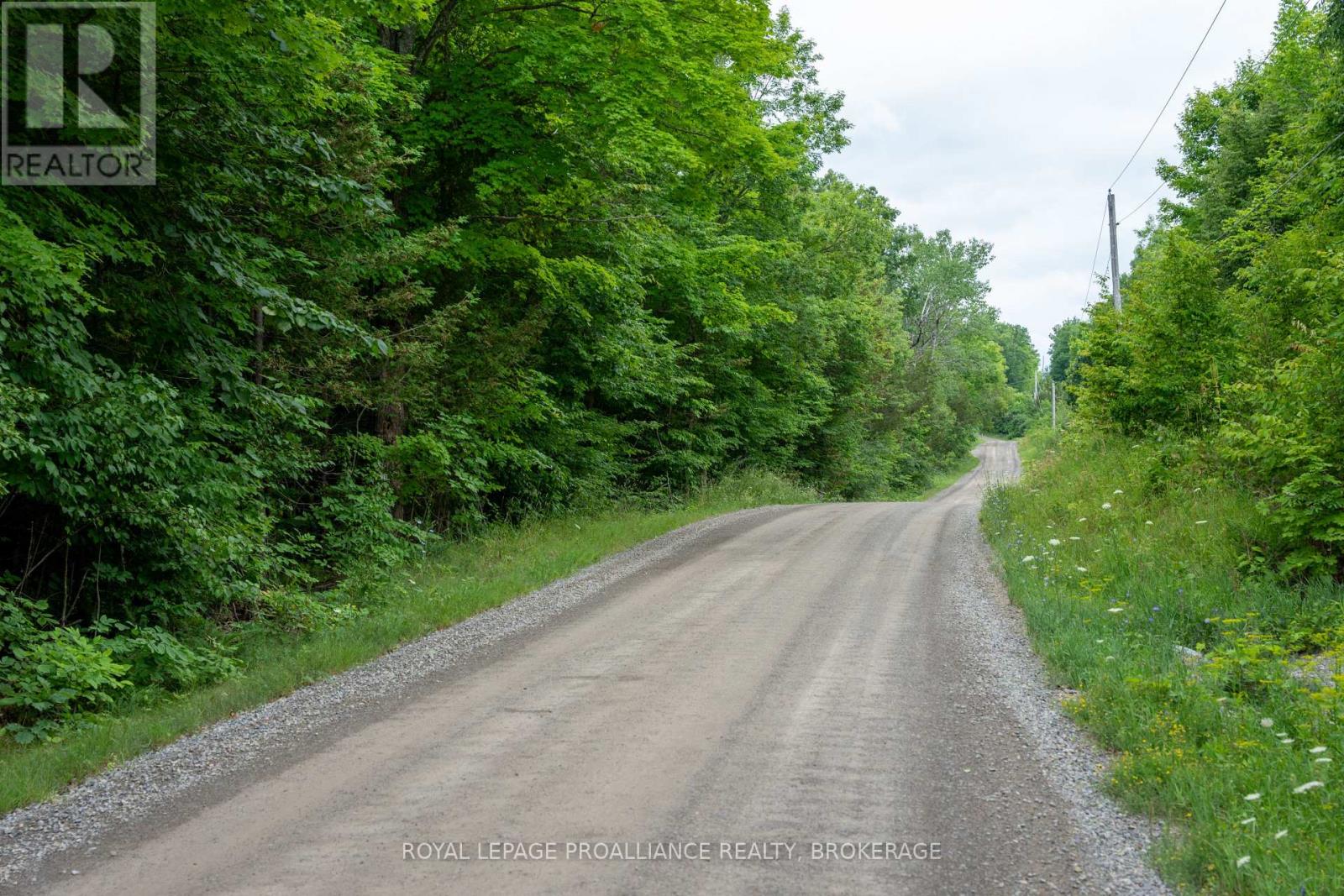 Pt Lt 14 Henderson Road, Greater Napanee, Ontario K0K 2L0 - Photo 30 - X12579490