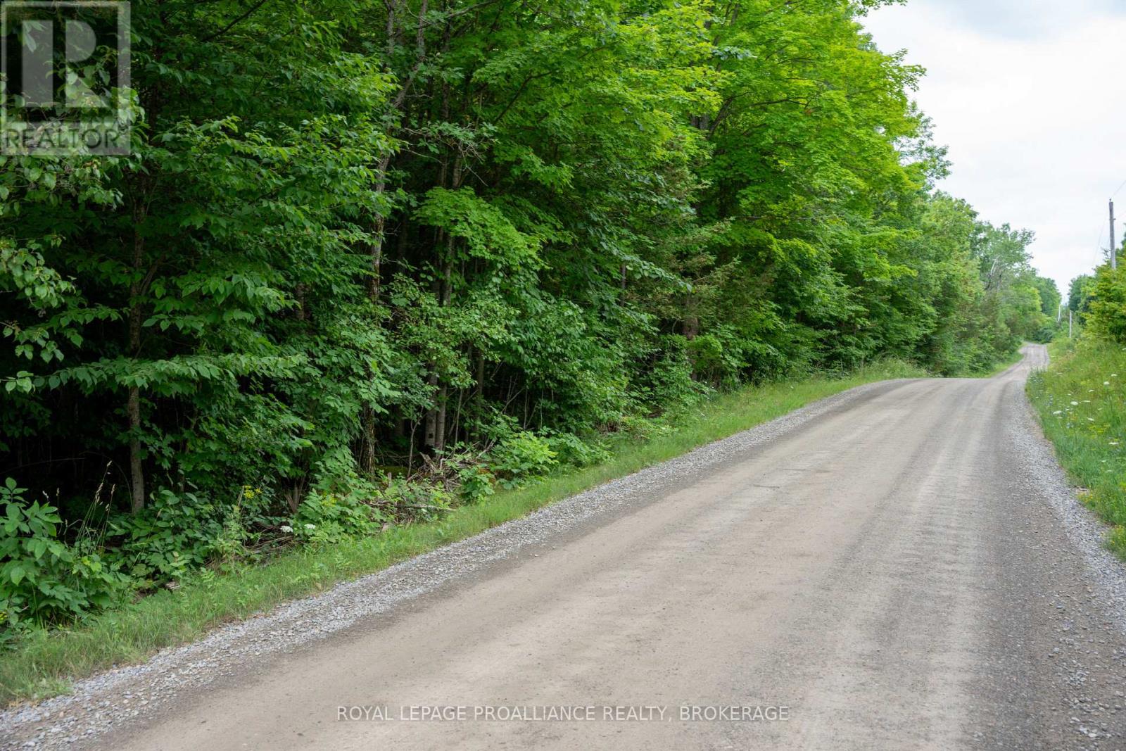 Pt Lt 14 Henderson Road, Greater Napanee, Ontario K0K 2L0 - Photo 31 - X12579490