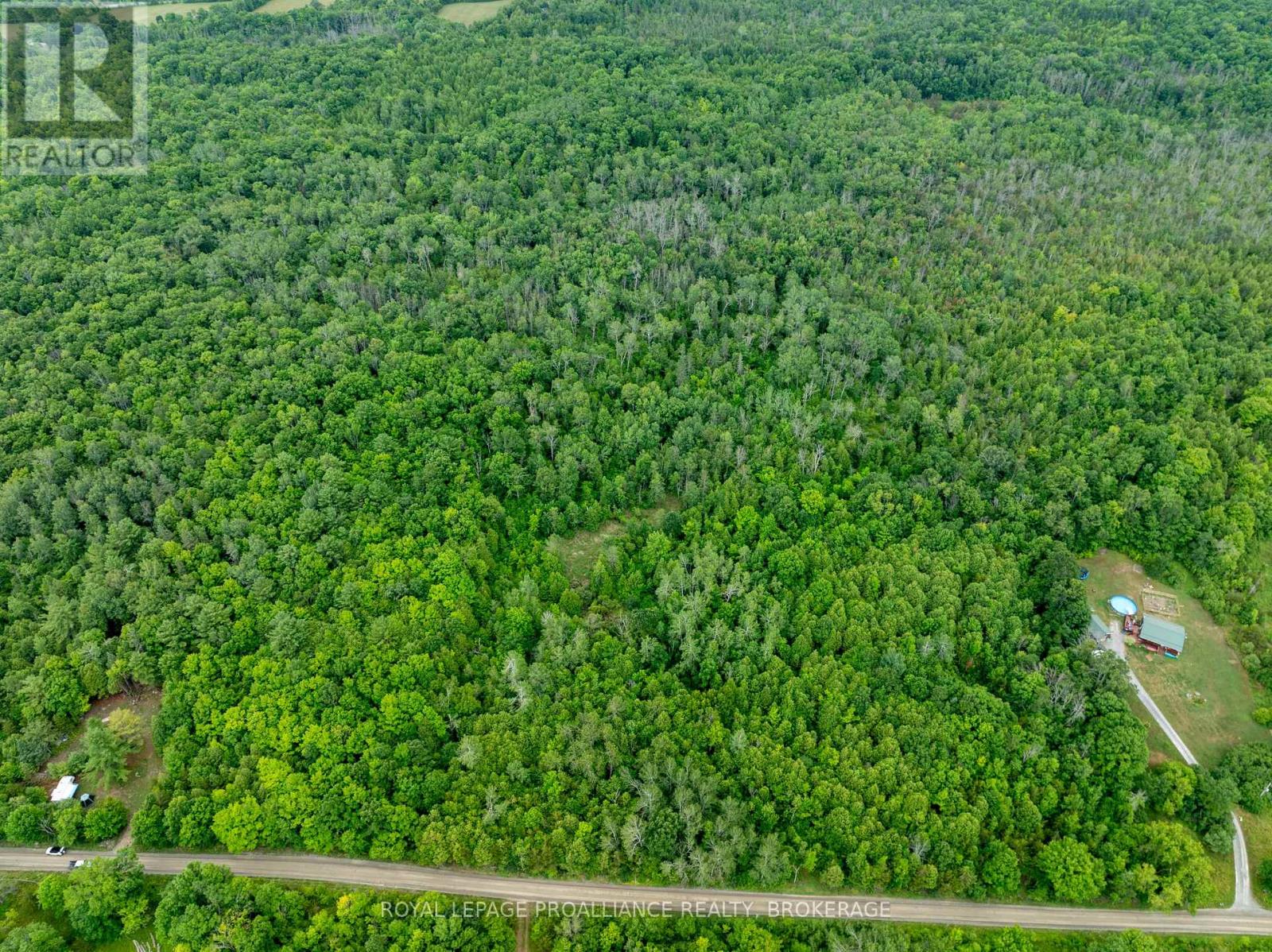 Pt Lt 14 Henderson Road, Greater Napanee, Ontario K0K 2L0 - Photo 7 - X12579490