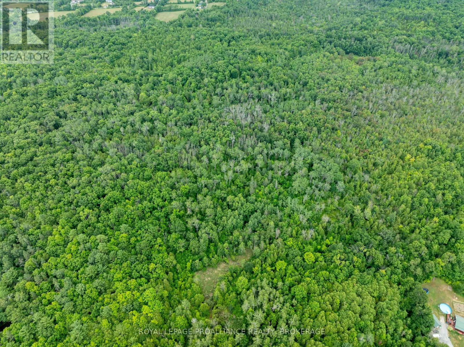 Pt Lt 14 Henderson Road, Greater Napanee, Ontario K0K 2L0 - Photo 8 - X12579490