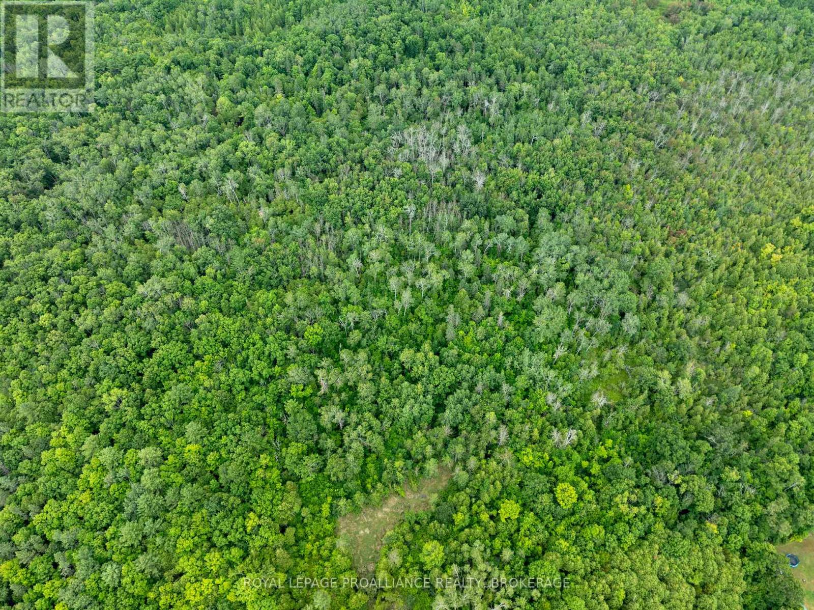 Pt Lt 14 Henderson Road, Greater Napanee, Ontario K0K 2L0 - Photo 9 - X12579490