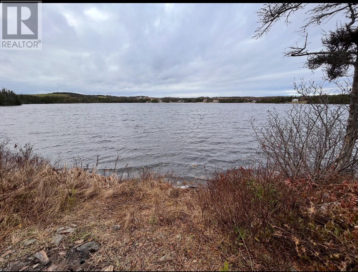 6 Jobs Pond Road, Victoria, Newfoundland & Labrador  A0A 4G0 - Photo 5 - 1292900